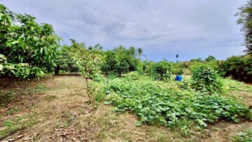 官田區待售房屋