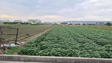 林園區待售房屋