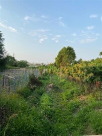 后里區待售房屋