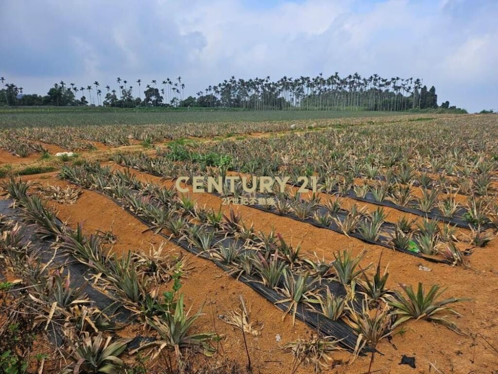 南投土地-南投猴探井農地(一+二)