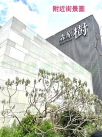 森原樹樹之泉待售房屋