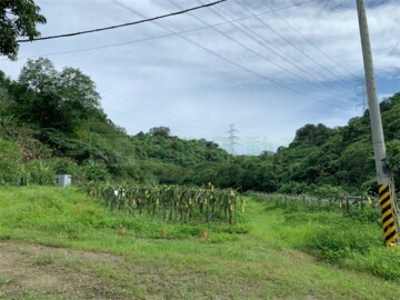 白河區待售房屋