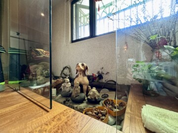 樂屋_君國天廈待售房屋 君國天廈待售房屋