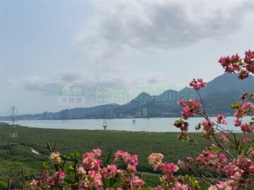 樂屋_竿蓁二街19巷20弄華廈待售房屋 竿蓁二街19巷20弄華廈待售房屋