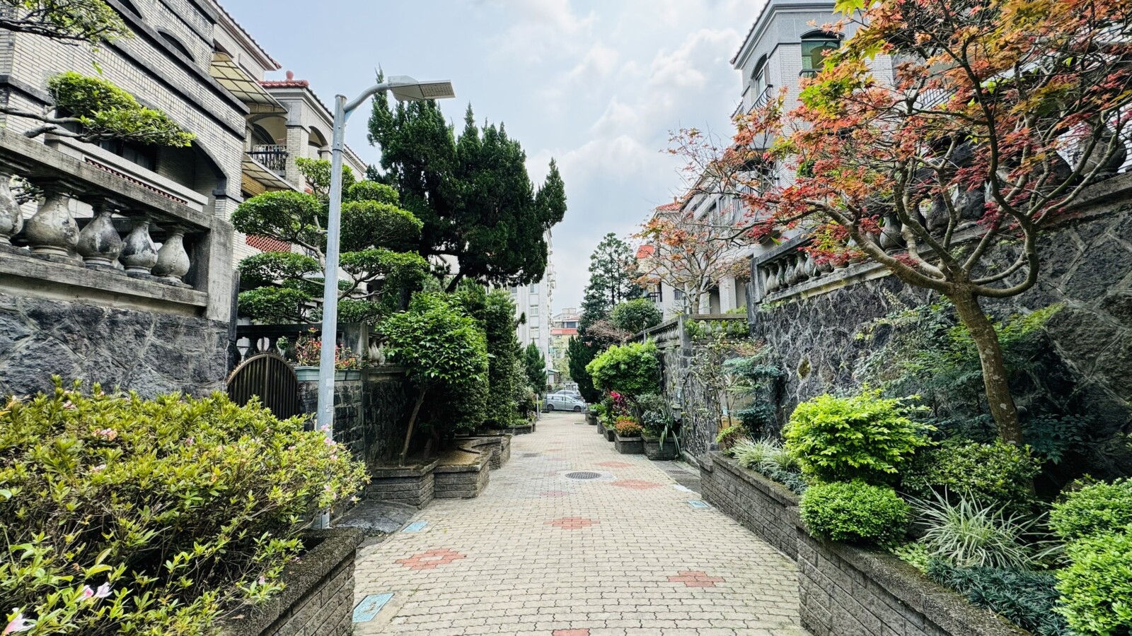 封面圖