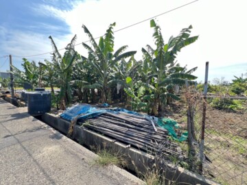 租-大寮/昭明【赤崁】方正農地 - Image 1