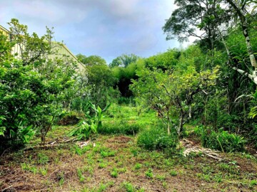 東勢區待售房屋