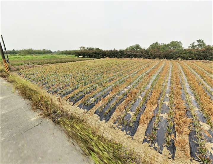 近台南高鐵大面寬一般美農地