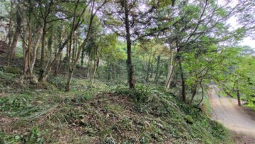 南庄鄉待售房屋