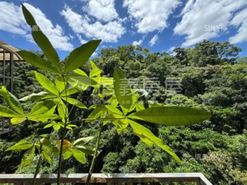 巨豪小築待售房屋