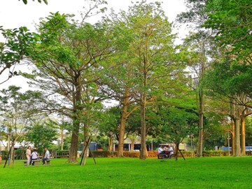 大溪區待售房屋