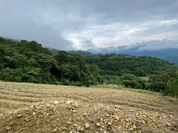 樂屋_三峽區待售房屋 三峽區待售房屋