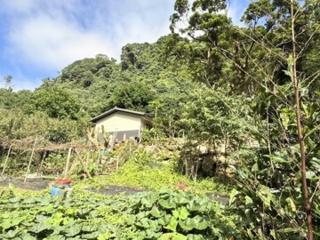 淡水區待售房屋