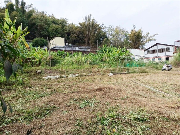 旗山市區休閒農地