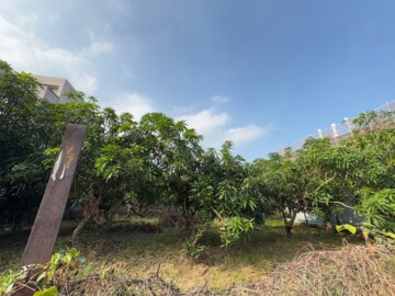 租-高坪六十六街方正建地 - Image 1