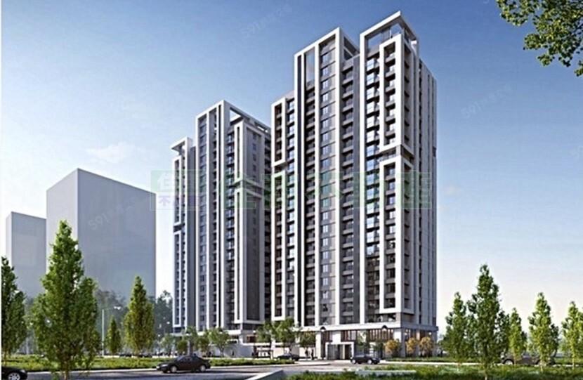 泰嘉一字寬次頂樓三房平車