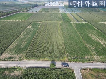 鹽水區待售房屋