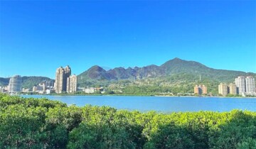 森原樹樹之岩待售房屋