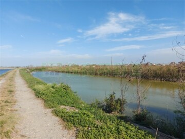 東石魚塭農地