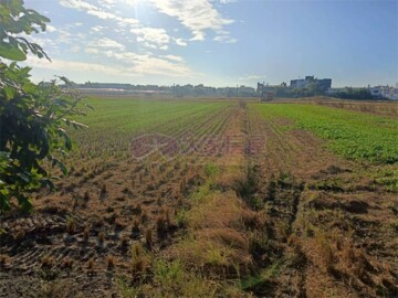 大村鄉待售房屋