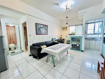 皇普大道東待售房屋