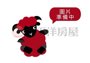嘉義東石龍港國小旁朝南農地