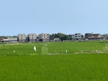 D02426宜蘭縣蘇澳鎮最超值農地每坪只要6500