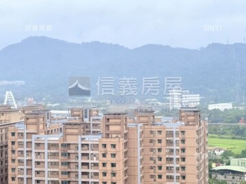 麗寶國際館待售房屋