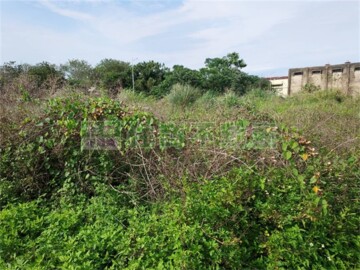 斗南鎮待售房屋