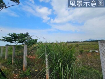 大溪區待售房屋