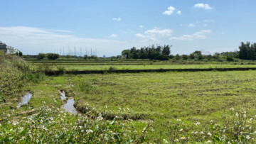 蘆竹區待售房屋