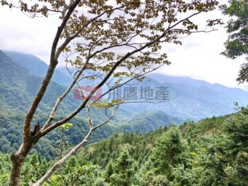 南庄鄉待售房屋