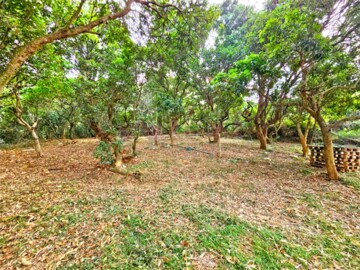 芬園鄉待售房屋