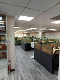 百利大廈待售房屋