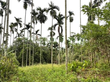 白河區待售房屋