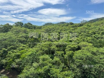 金爵騎仕待售房屋